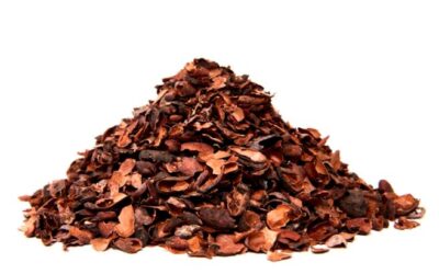 De mange fordele ved at bruge kakaoskaller i haven – find dem hos Maxibag