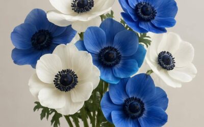 Buket-anemone: vælg, pleje og stil i moderne buketter