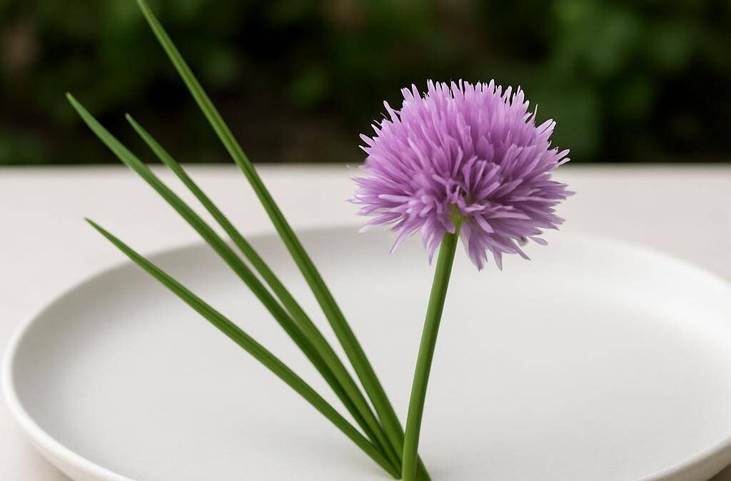 Purløg blomst i haven og køkkenet